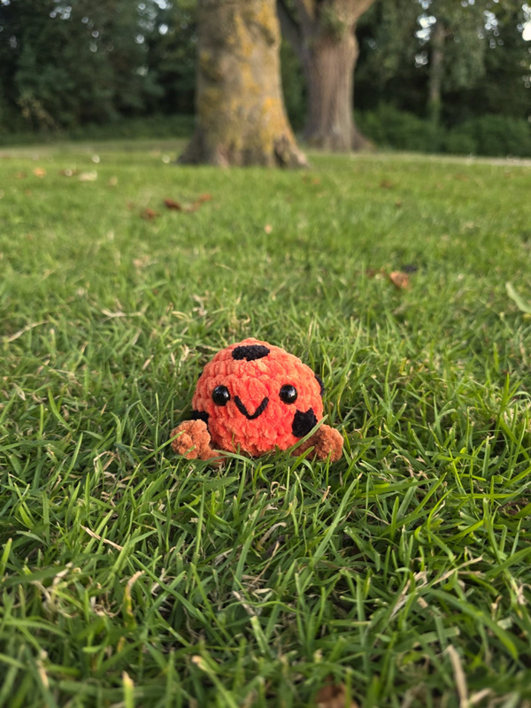 Kicky (PDF crochet pattern, no sew, beginner friendly)
